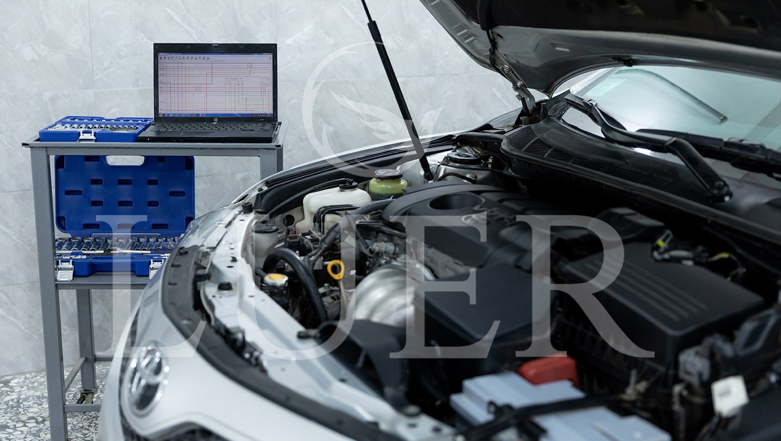 luer avtoservice meqenayi elektrakan xndirneri axtoroshum