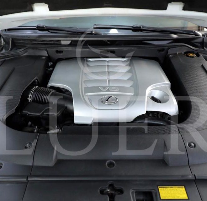 61773072_275499006579923_8696807092155056128_n