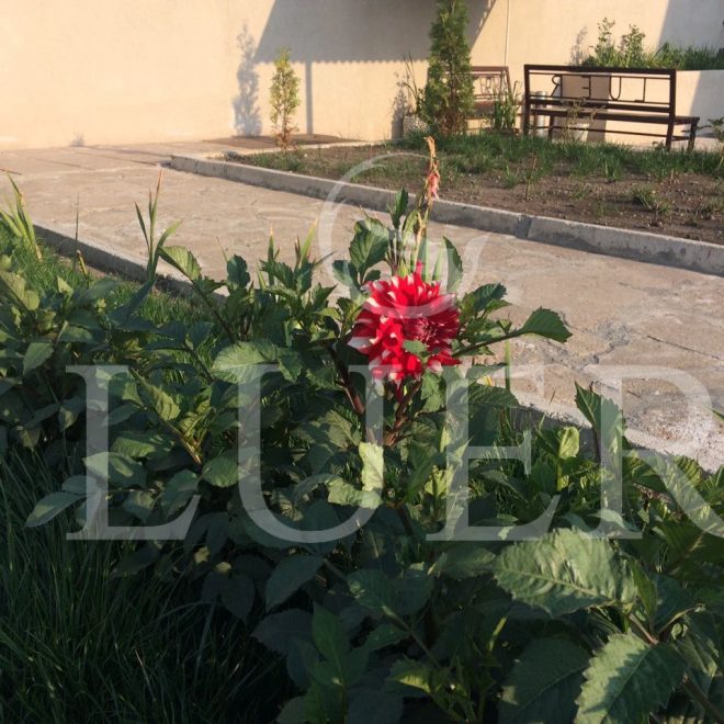 IMG-0448c9ca14e917521db9d91e70db50e1-V-min