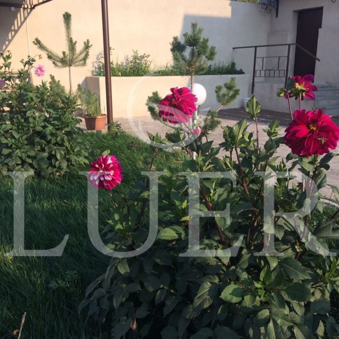 IMG-23780f17ef6e03d3f91b63f9e5d8824f-V-min